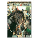 Search for horse racing posters Triple crown