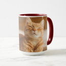 Search for sleepy cat mugs Tired