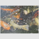Search for koi fish tissue paper Swimming