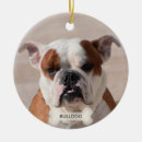 Search for boxer dog christmas tree decorations Bulldog