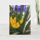 Search for pansies birthday cards Yellow