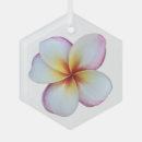 Search for frangipani christmas tree decorations Plumeria