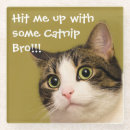 Search for funny cat coasters Cute