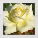 Search for florist invitations Floral