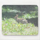 Search for wilds mousepads Wildlife