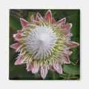 Search for big flower magnets Floral