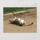 Search for waking postcards Cute