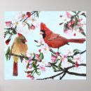 Search for male female cardinal art Wildlife