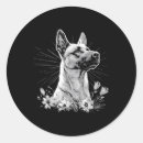 Search for belgian malinois gear stickers Portrait tattoos