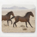Search for namibia mousepads Running