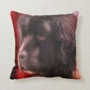 Search for dog face cushions Canine