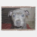 Search for staffordshire bull terrier blankets Dog