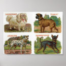 Search for dog breed posters Vintage