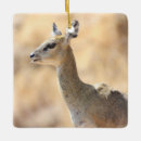 Search for antelope christmas tree decorations Wildlife