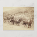 Search for fargo postcards Dakota