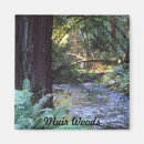 Search for stream magnets Forest