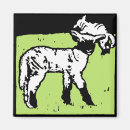 Search for flocking magnets Animals