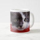 Search for baby kitten mugs Pet