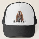 Search for basset hats Hound