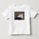 Search for x wing tshirts Aircraft