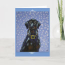 Search for doberman with natural ears Funny