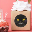 Search for kitty face stickers Cute