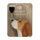 Search for beagle magnets Animal lovers