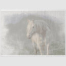 Search for transfer tissue paper Furniture