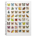Search for bug collage postcards Butterfly