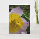 Search for summer rain cards Nature
