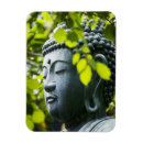 Search for buddha magnets asia