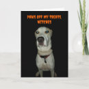 Search for dog halloween cards Labrador retriever
