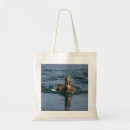 Search for open bags Nature