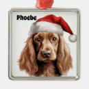 Search for english christmas tree decorations Dog