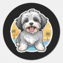 Search for havanese stickers Pet