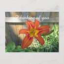 Search for thinking of you postcards Botanical