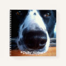 Search for collie notebooks Dogs