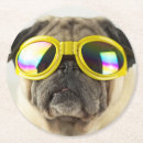 Search for pug coasters Funny