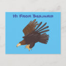 Search for falconry postcards Eagle
