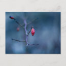 Search for cold postcards Blue