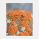 Search for pattern of lichens Texture