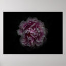 Search for 115 posters Floral