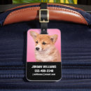 Search for corgi luggage tags Cute