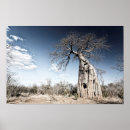 Search for baobab tree art Africa