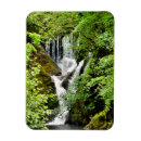 Search for small waterfall magnets Landscape