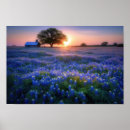 Search for file art Flowers