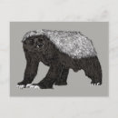 Search for attitude postcards Illustration