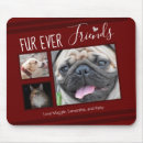 Search for forever friends mousepads Photo collage