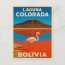 Search for vintage flamingo postcards Nature