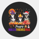 Search for thanksgiving dog stickers Autumn vibes